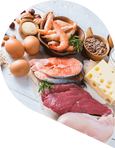 selection of high protein food including meat, cheese, fish, nuts and shellfish