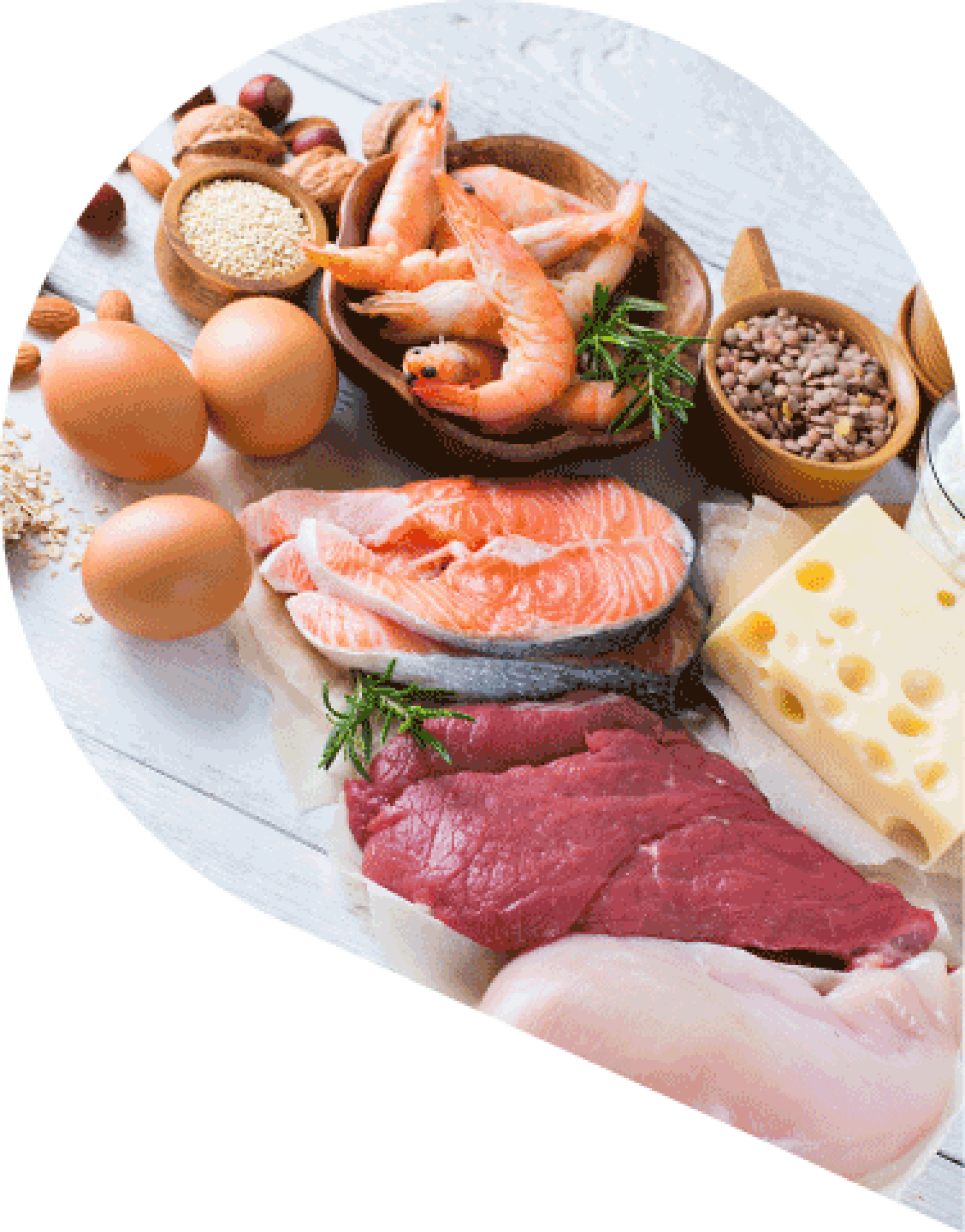selection of high protein food including meat, cheese, fish, nuts and shellfish