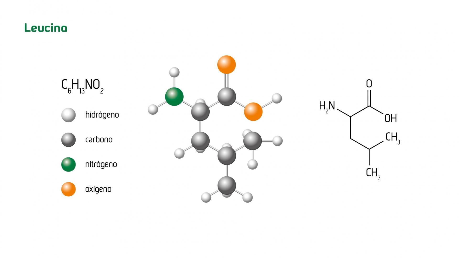 Leucine