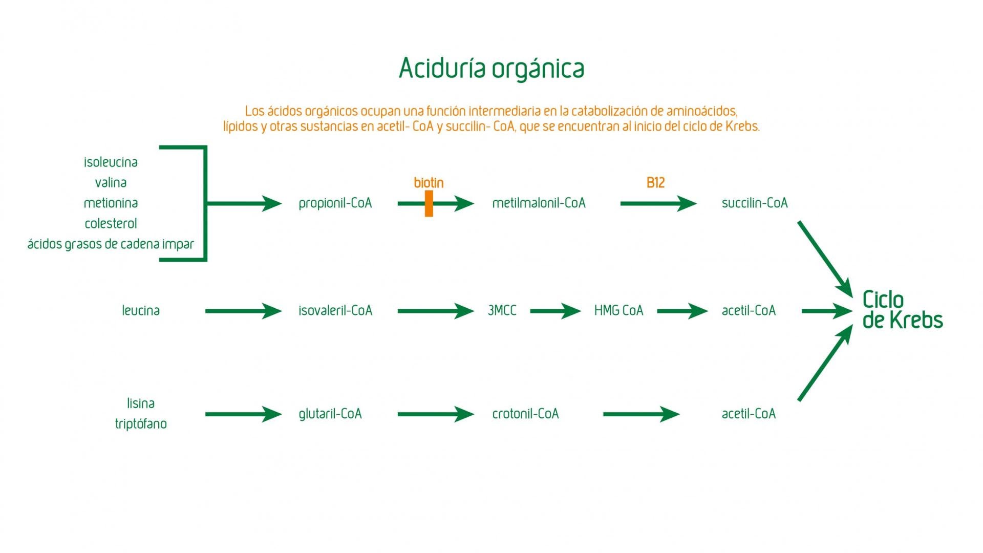 Organoazidurien