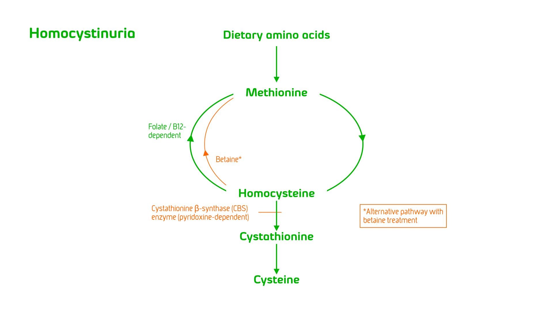 Homocystinuria