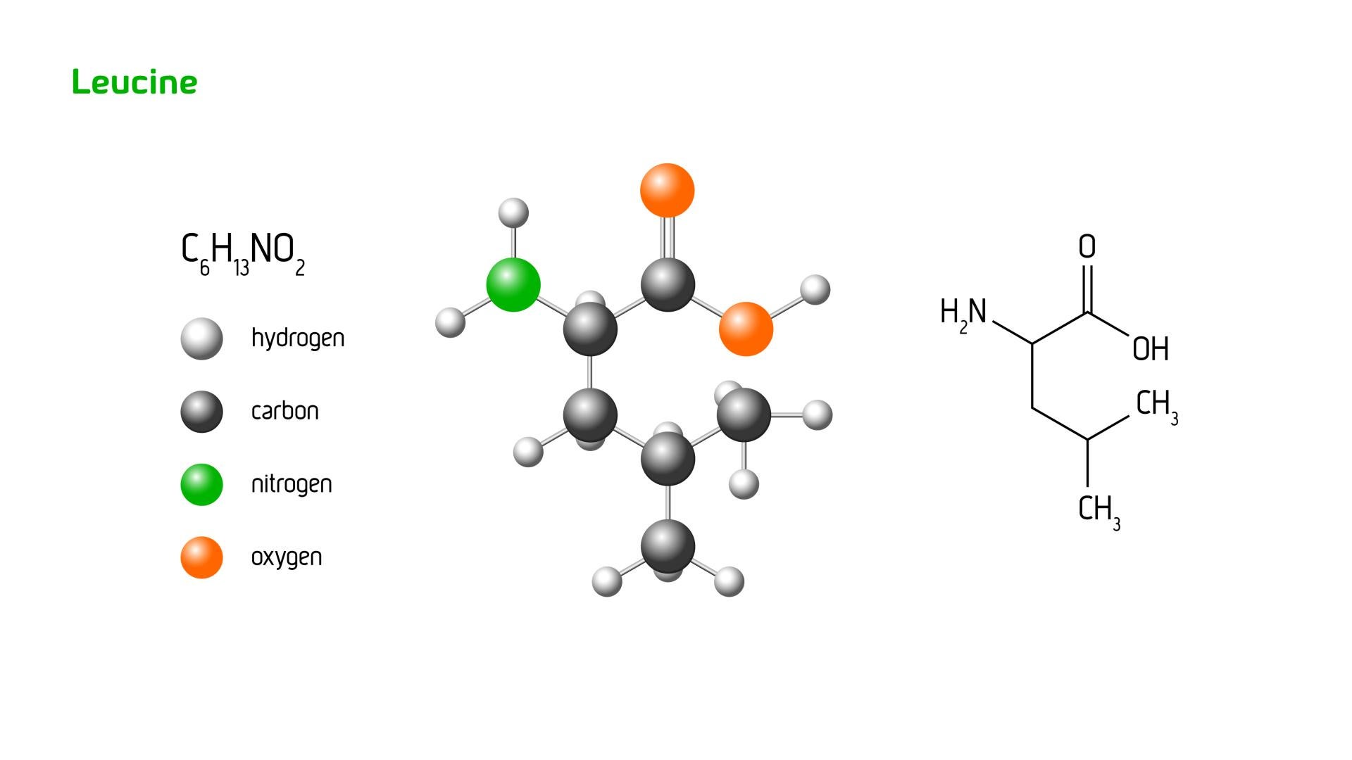 Leucine