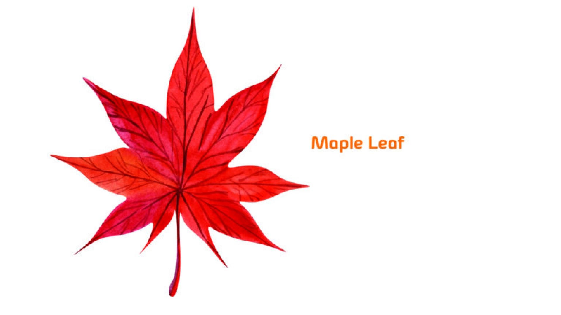 Maple Syrup Urine Disease (MSUD)