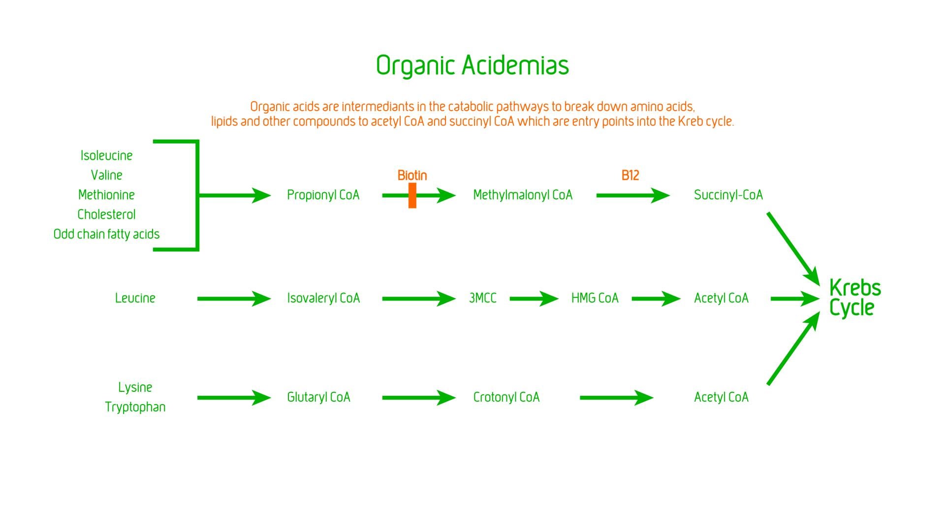 Organic Acidemias (Acidurias)