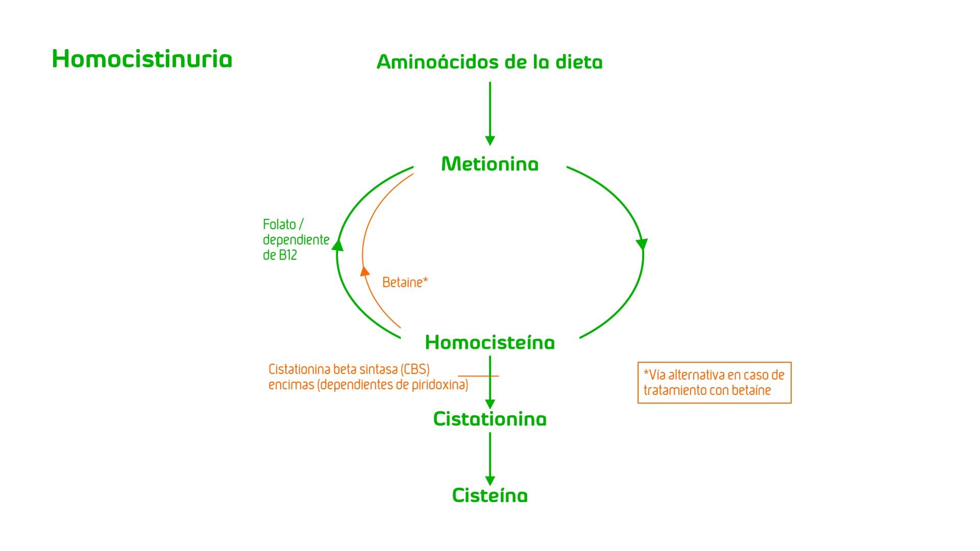 Homocystinuria