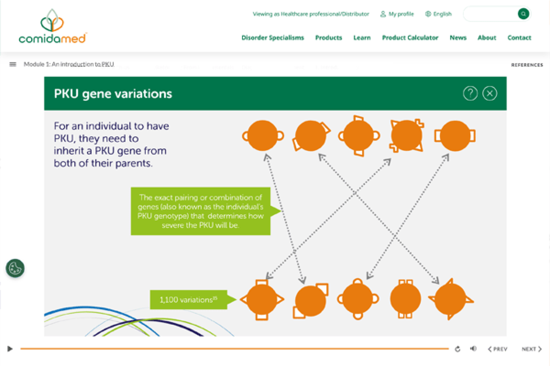 PKU gene variations