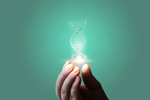 DNA helix being held on a green background