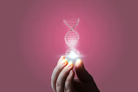 DNA helix being held on a pink background