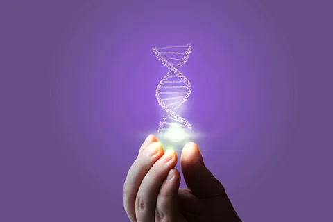 DNA helix being held on a purple background