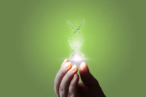 DNA helix being held on a green background